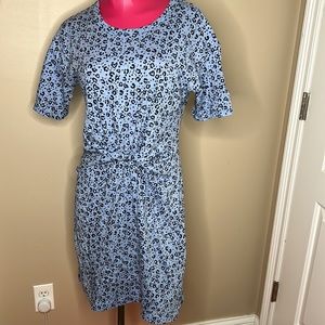 Aerie Leopard Print T-shirt Dress